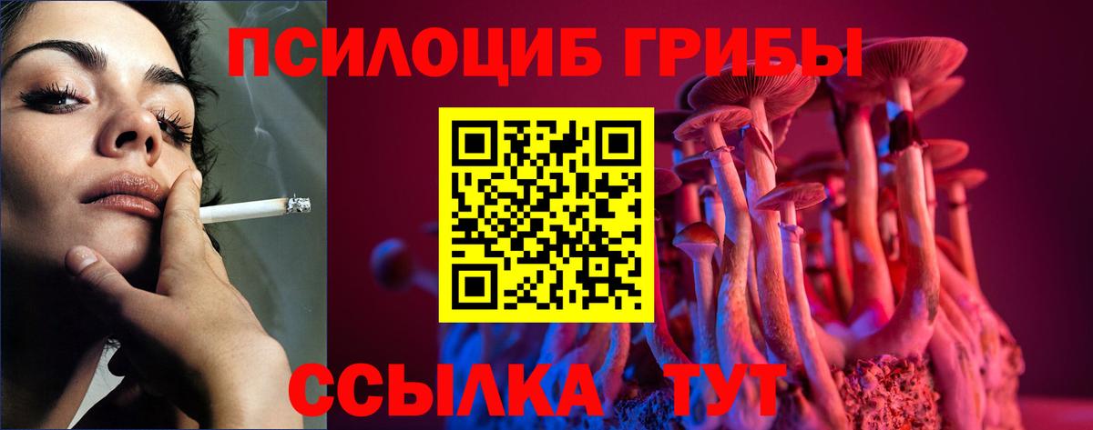 Галлюциногенные грибы Cubensis  Вход с VPN  Белореченск 